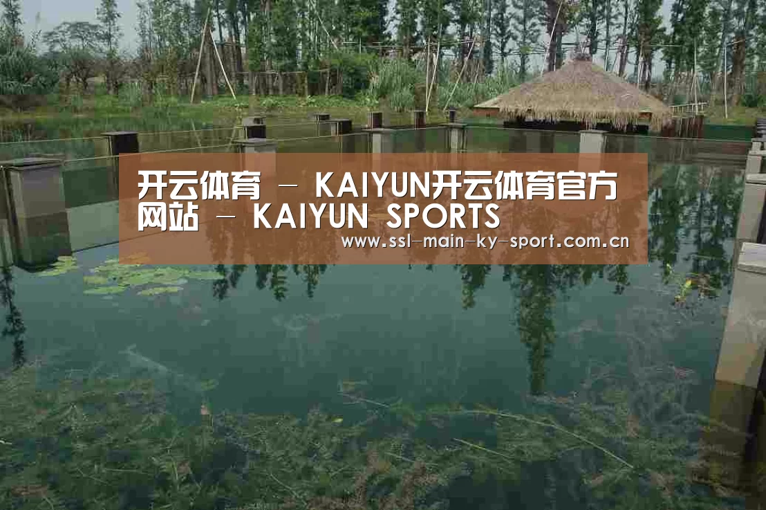 案例展示二