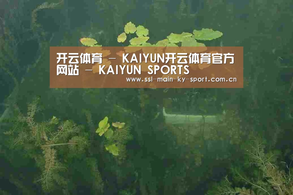 案例展示三