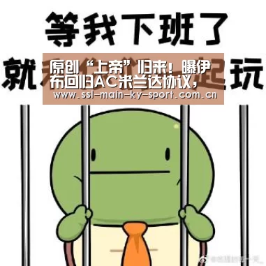 开云体育官网