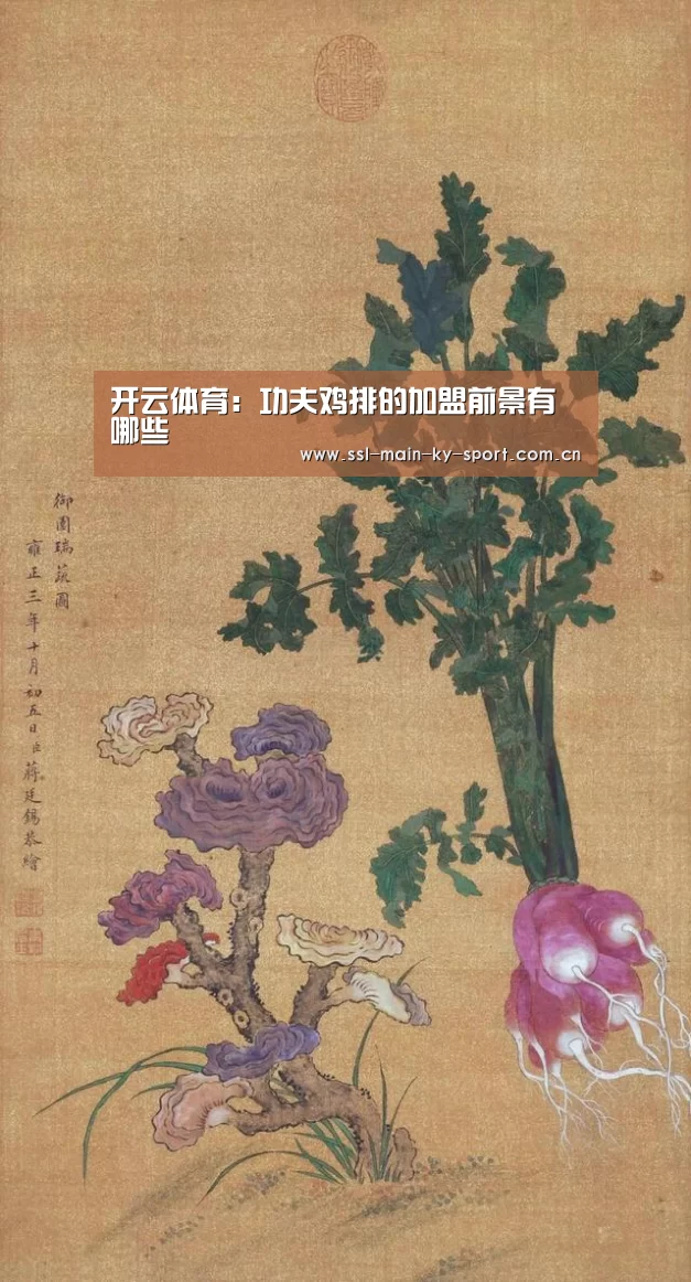 开云体育：功夫鸡排的加盟前景有哪些(图1)