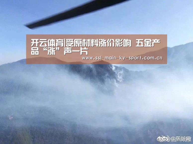 开云体育|受原材料涨价影响 五金产品“涨”声一片(图4) 开云