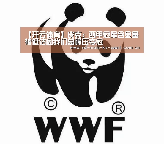 【开云体育】皮克:西甲冠军含金量被低估因我们总碾压夺冠(图4) 开云体育