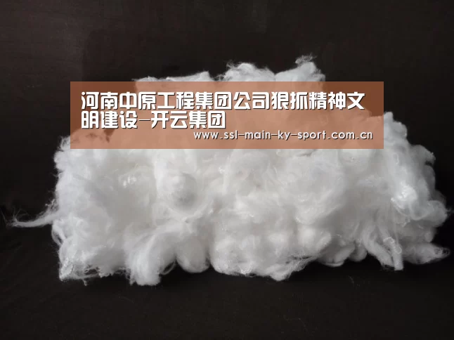 河南中原工程集团公司狠抓精神文明建设-开云集团(图1) 开云